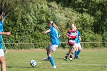 Bild 209 - wCJ VfL Pinneberg - Altona 93 : Ergebnis: 4:2